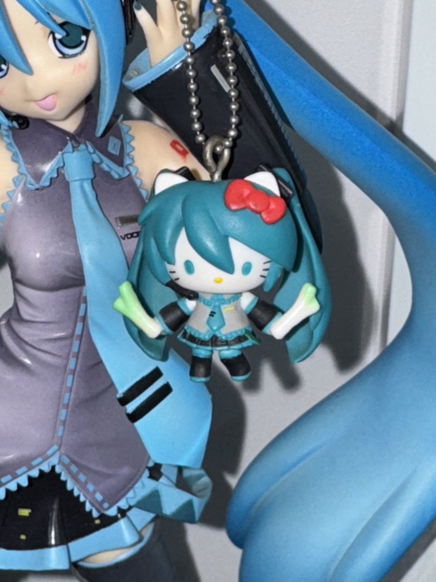 まる (@mikumru) on Twitter photo 