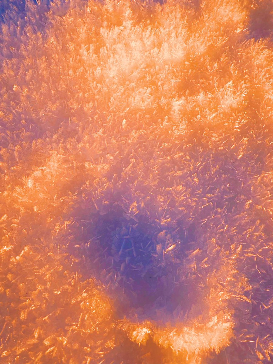 Natsuho Yamanaka tweet media