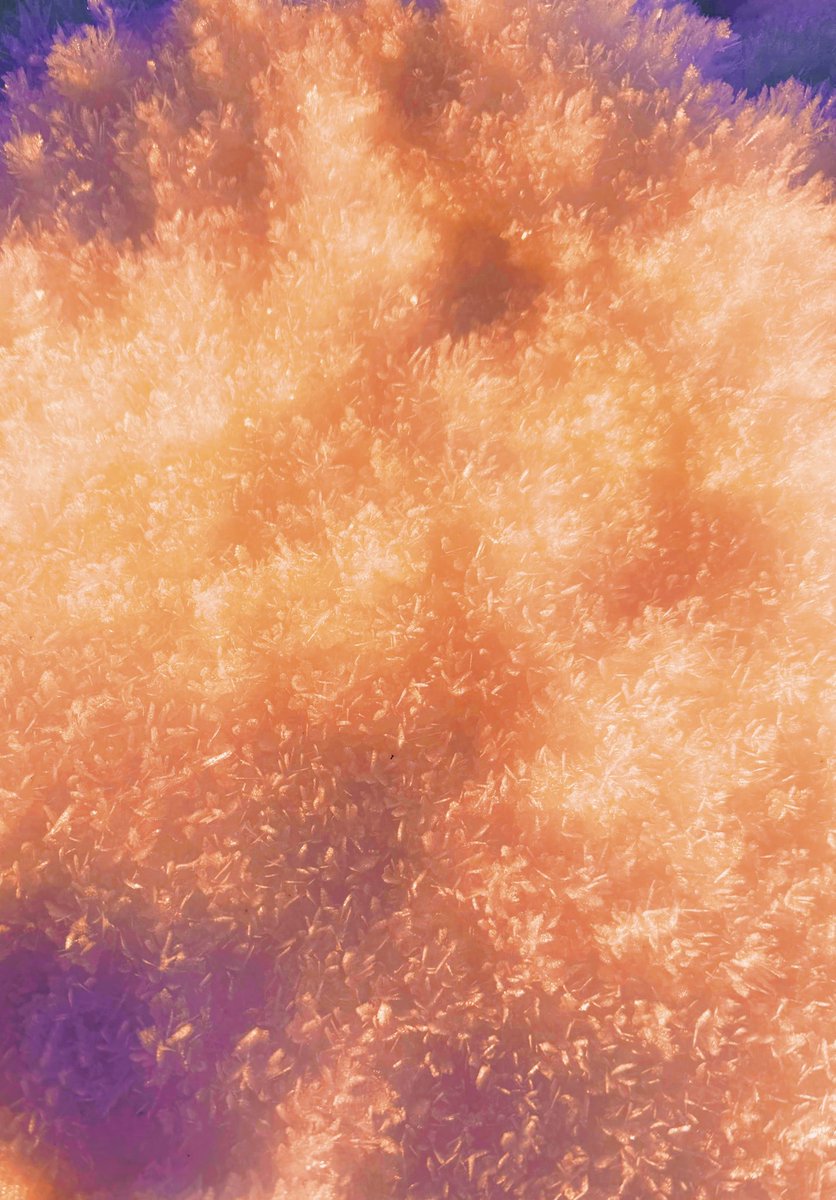 Natsuho Yamanaka tweet media