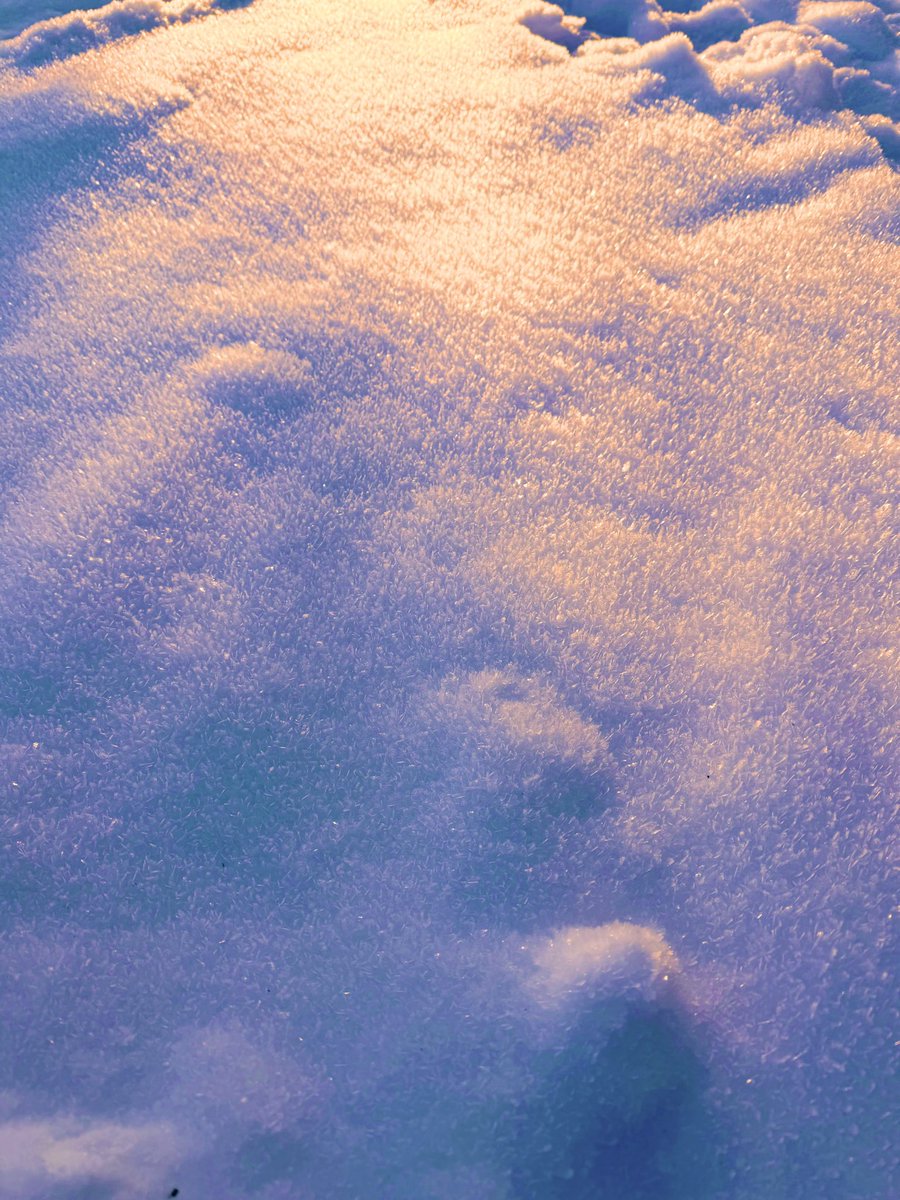 Natsuho Yamanaka tweet media