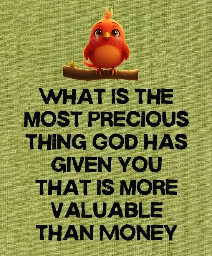 RosarySon tweet media