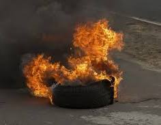 🐾 ZUT&Sergi 🐾 tweet media