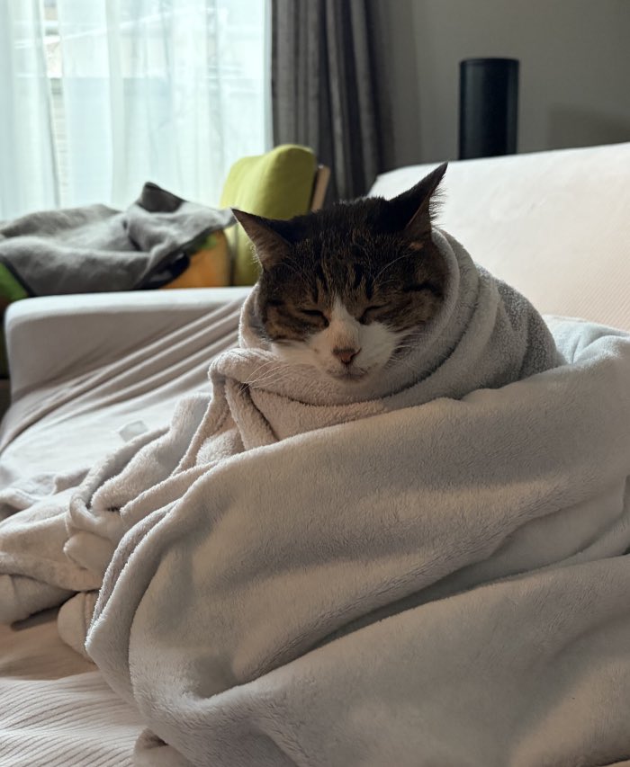 鴻池 剛 (@TsuyoshiWood) / Posts / X