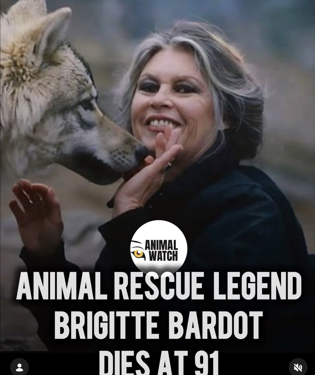 Hayatını hayvan haklarına adayan, yüzbinlercesini kurtaran, Fransa’da yasayı hayvanlar lehine değiştiren efsane isim #BrigitteBardot hayatını kaybetti… Gittiği yerde huzurlu olacağına hiç şüphem yok… Güzel uyu güzel kadın 🫶 bu zorlu yolda izindeyiz, gözün arkada kalmasın 🙏