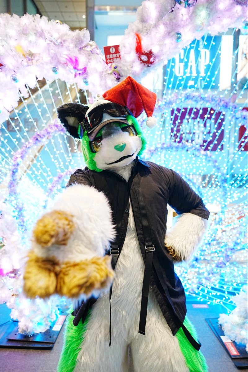 洛伊德（ロイド）｜迪亞狼（ディアル）→ 停止更新 tweet media