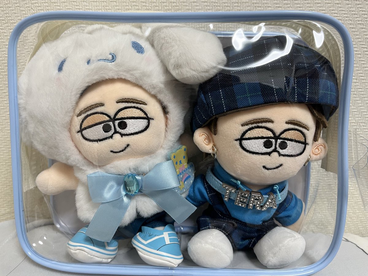 ドームツアーの京セラで久々に新しいぬい(寺西拓人くん)をゲットした