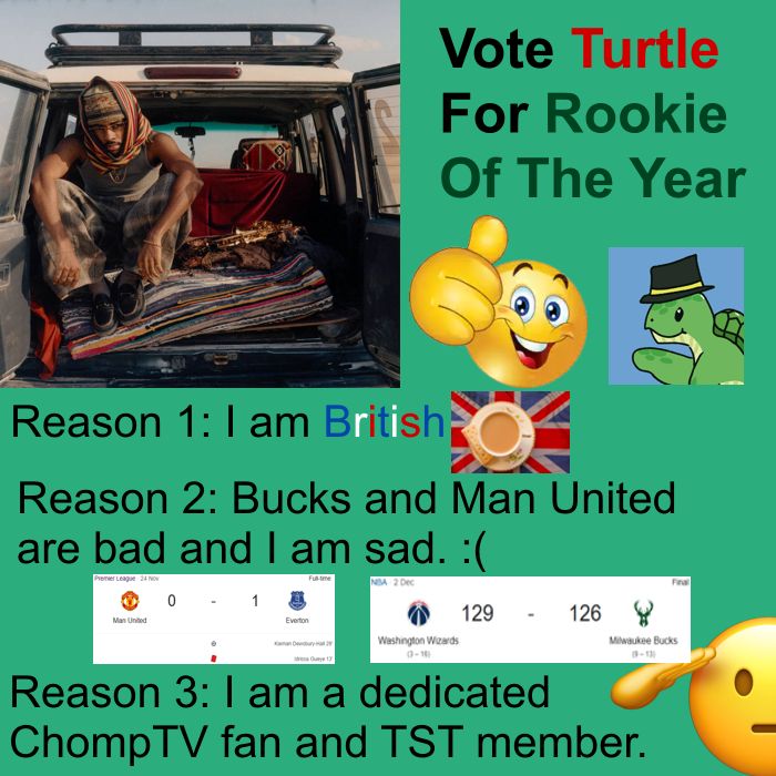 Turtle tweet media