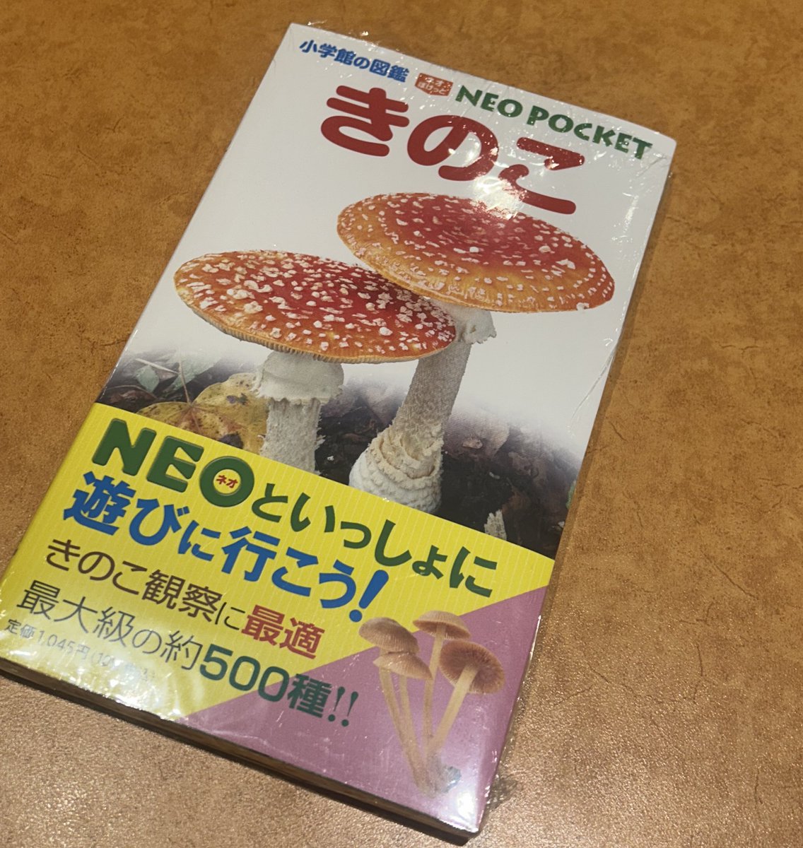 物欲があまりないるいちゃんが｢図鑑ほしい｣言ってきたから本屋さんで買ってきた

き の こwwww🤣