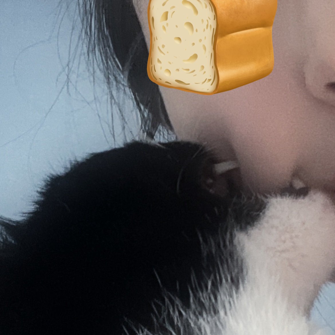 내가 좋아하는 사진