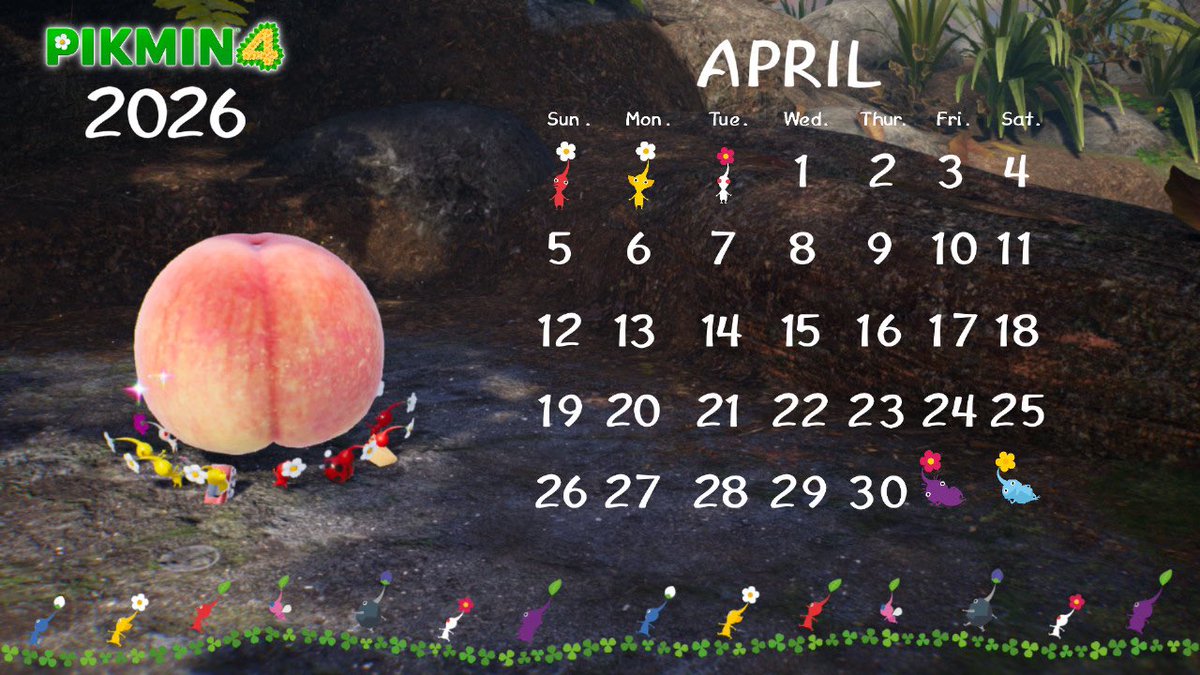 エリカ　アチレ tweet media