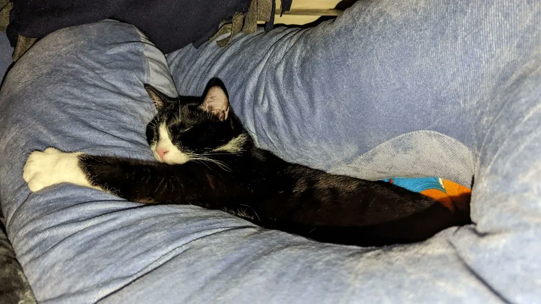 Reminder that you can buy me gifts at  throne.com/violetnightmar…