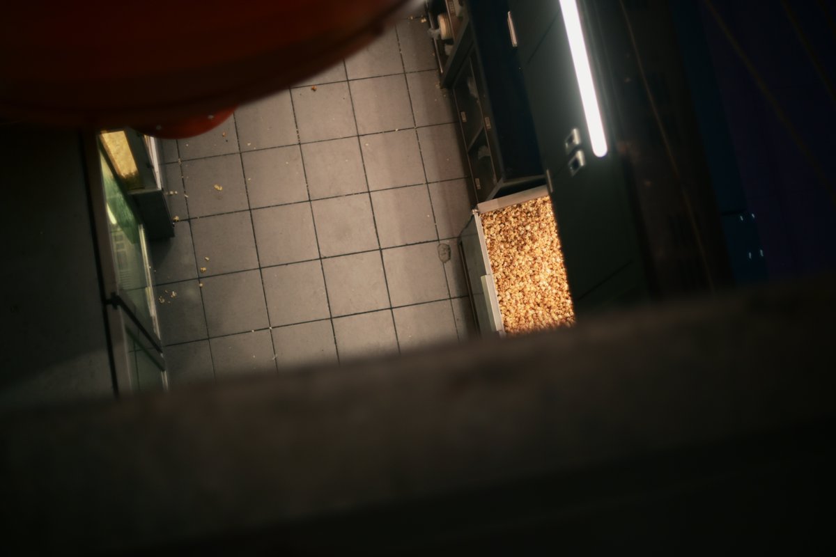 Red (@l_lion_red) on Twitter photo 