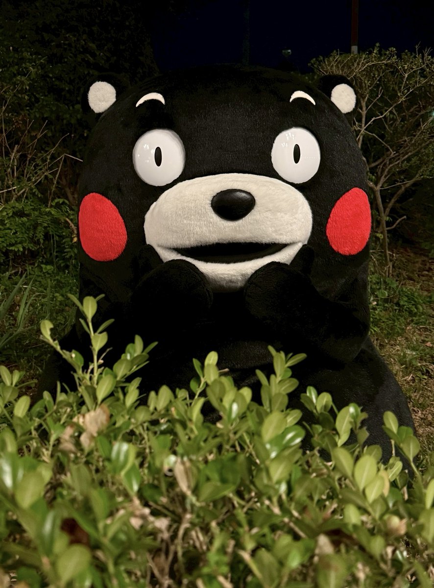 くまモン【公式】 (@55_kumamon) / Posts / X