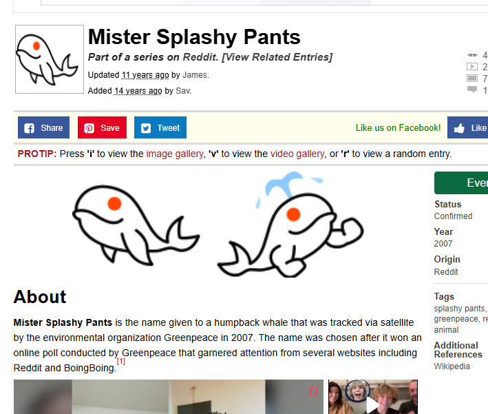 witloofdev tweet media