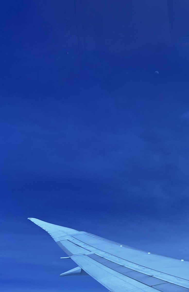 ackerwrld's tweet image. if u look close enough u can see the moon