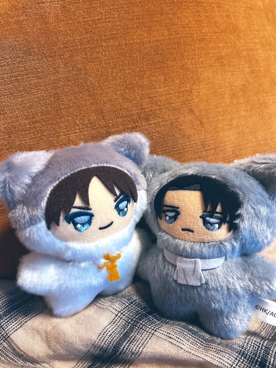 かわいいかわいいかわいいかわいい！！！！かわいい〜！！！！🐈