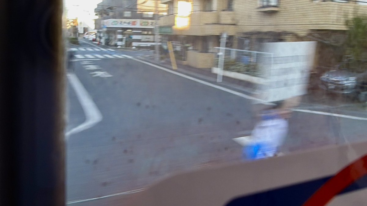 電車に乗って
ふと窓の外を眺めると
何かがいる