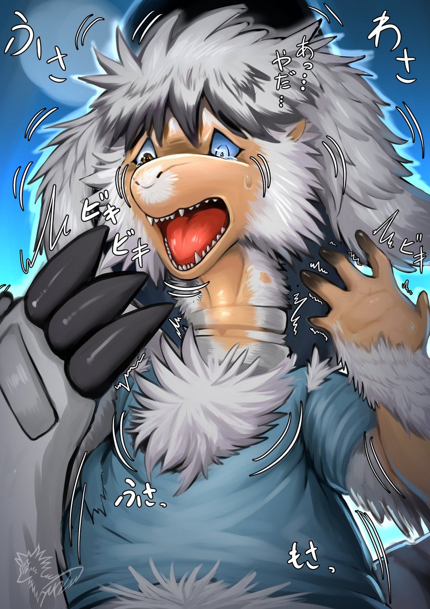 狐月ココノスケ@新春けもケC-13 (@yakumomidori1) / Posts / X