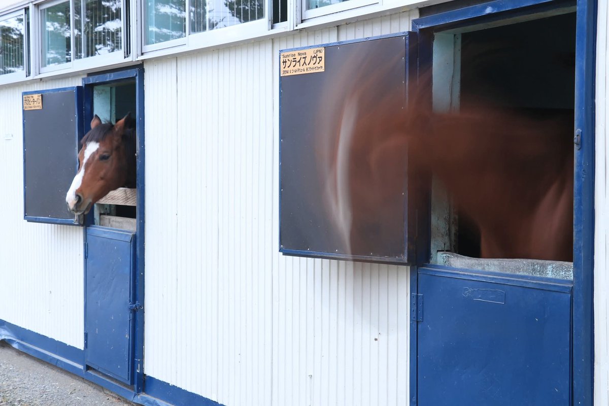 CocoSmook's tweet image. Live life as if every day is Sunday.