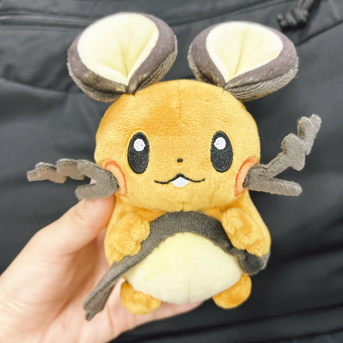 今回ご縁があったのはデデンネでした⚡️ でんきねずみ同士ぷりめろ