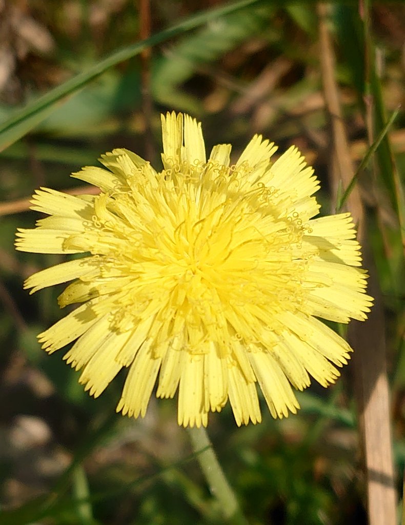 きらら様•*¨*•.¸♬︎ おまとめ2.点❣️ きららゆらら✨🌺2 (@11kirarayurara) / Posts / X