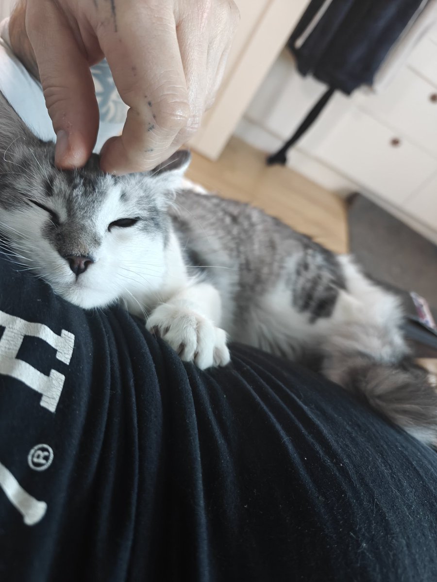 ikaglen's tweet image. Är det söndag får man faktiskt slappa om man vill