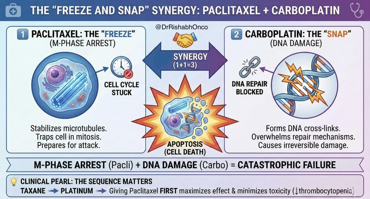 Dr Rishabh Jain tweet media
