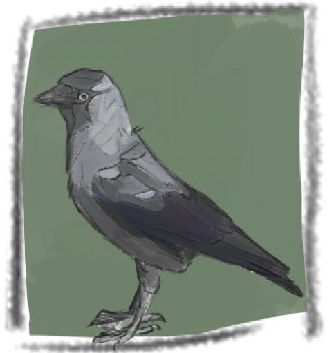 Piedwagt tweet media