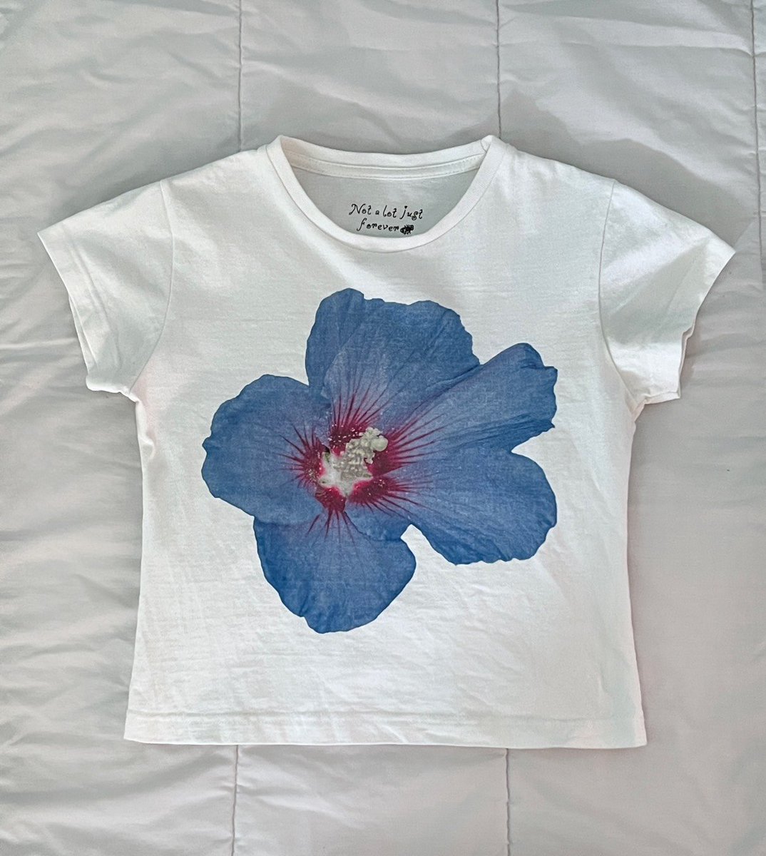 ‎꒰ cute stuff 🍀 𝚚𝚝𝚒𝚎𝚚𝚕𝚘𝚜𝚎𝚝 🍎🐬 tweet media