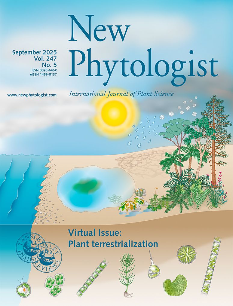 NewPhyt's tweet photo. Our #VirtualIssue on Plant terrestrialization focuses on piecing together #streptophyte trait #evolution and curating research that has contributed to advances in the evolutionary inference of (early) land plant form and function 👇

📚 https://t.co/rRfXXDOrSS 

🧵1/2 https://t.co/7jrpKCZ6T9
