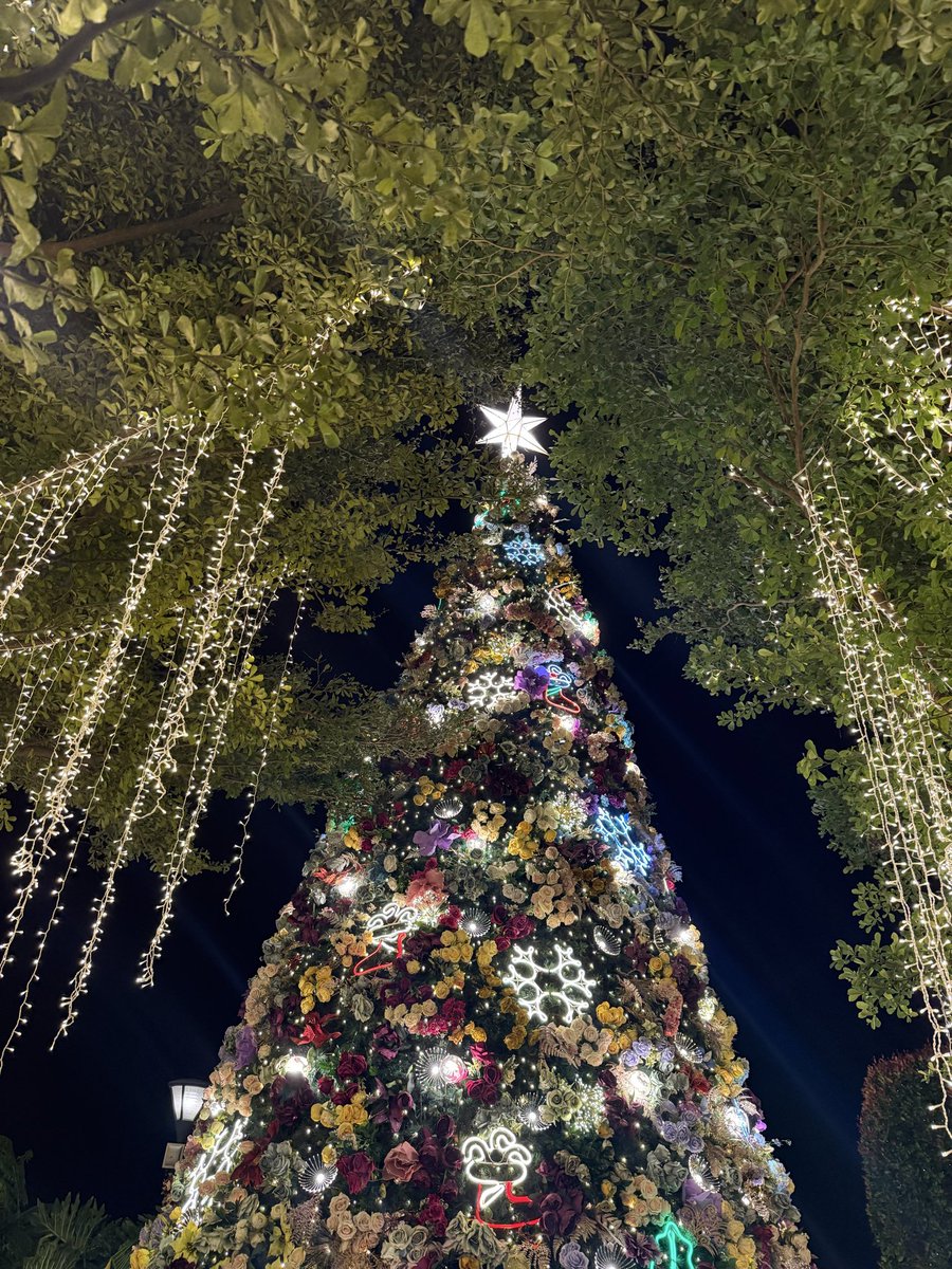 bibiselene's tweet image. 📍