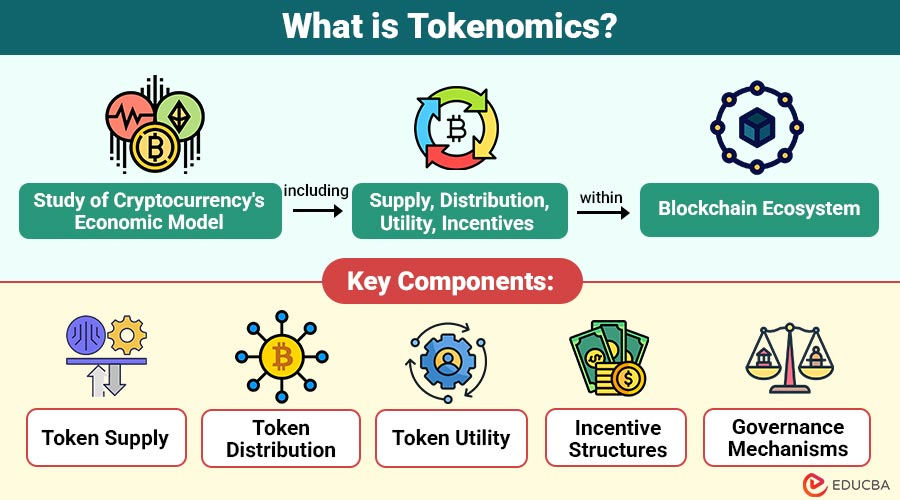 SheinAIbyFatima's tweet image. 🧠 Sustainable token economies need incentives.

📈 Not inflation.

🔁 Design beats marketing.

Tokenomics is applied economics.

➡️ Follow @SheinAIbyFatima for data-driven AI &amp;amp; tech insights built for creators on @X @grok
@EducbaBusiness 
#snxs #tokeneconomics #web3design