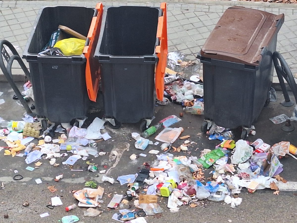 GilgonzalezA's tweet photo. @Lineamadrid @MADRID @OrlandoChaconT solicito limpieza urgente de la basura tirada junto a los contenedores de basura de la C/ Calamocha https://t.co/7AFQfWa6Ue