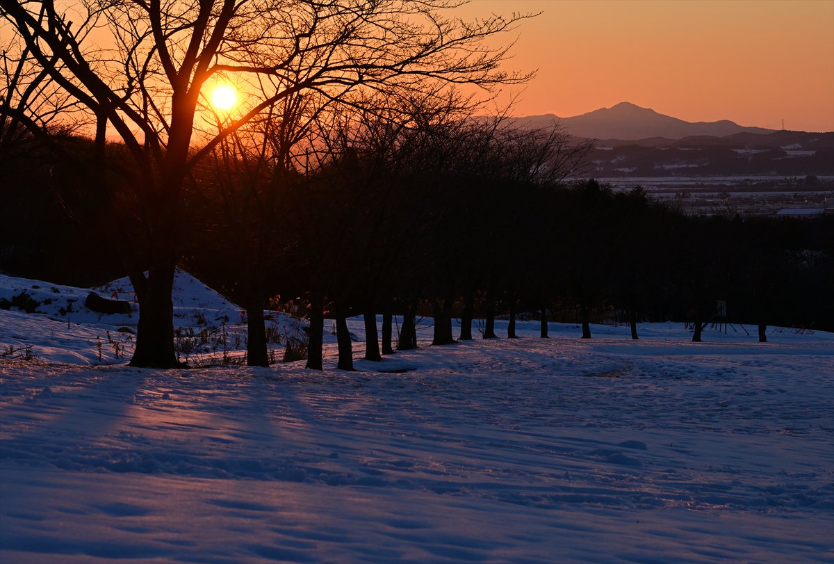 R800 (@AOIYURI3) / Posts / X