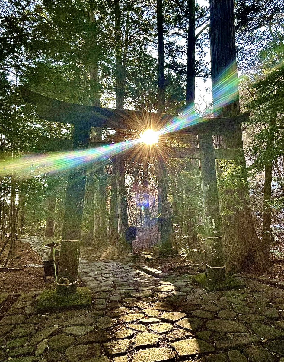 本日あげました写真は
栃木県日光市にある 二荒山神社 別宮 瀧尾神社 です⛩️✨

毎月お参りしている大切な神社で、
こちらの鳥居は「運試しの鳥居」として知られています⛩️

真ん中に空いた穴へ球を三回投げ、
通るとご利益があるとされております✨

その穴を通して光を撮ることが多いのですが、