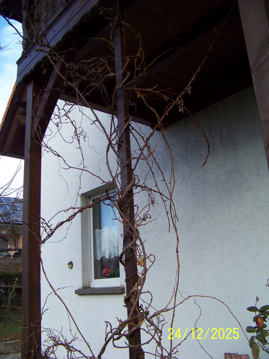 Tyrande1Tyrande's tweet image. 05.
Malsehen wann ich sie dann wieder sehen tue. Aber ich glaube so schnell wird das nicht passieren. Sonst hat mein kleiner Gartenteich eine sehr schöne Eisdecke. Denn die Nächte haben ziemlich starken Frost gehabt. Malsehen ob sie nun über weihnachten noch dicker werden tut.