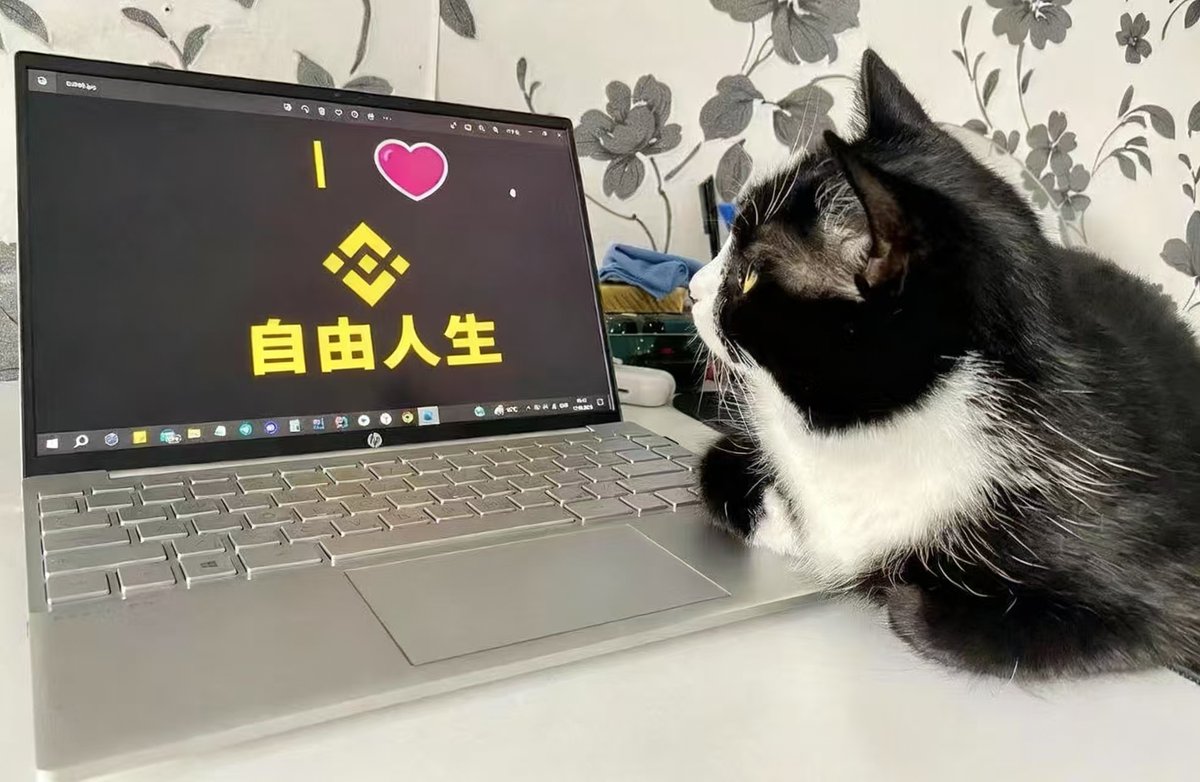 自由人生 tweet media