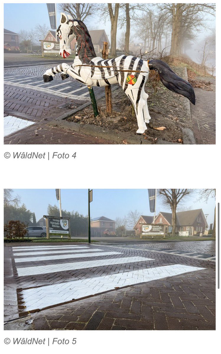 #Oudejaarsstunt 
De inwoners van #Bakkeveen werden zondagmorgen wakker met een nieuw zebrapad. Met daarnaast zelfs een "echte" zebra! 

Het zebrapad is gespoten op de Foarwurkerwei, nabij de Brink. 
Foto’s <a href="/WaldNet/">WâldNet</a>