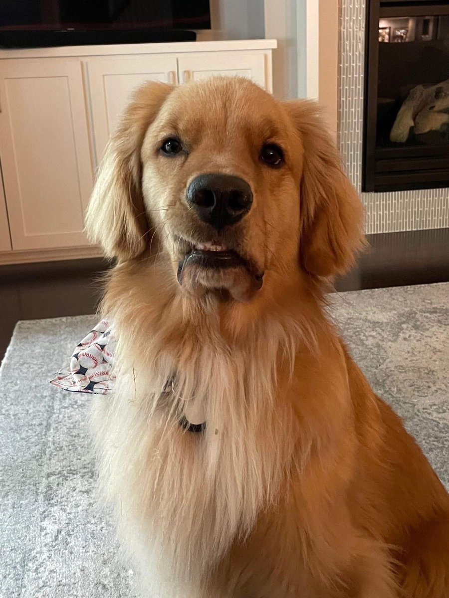 That time between #Christmas and New Years -  when you don’t know what day it is, who you are, and what you are supposed to be doing.