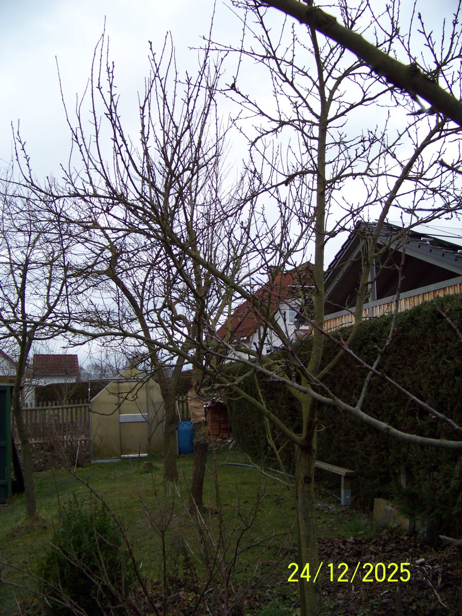 Tyrande1Tyrande's tweet image. 05.
Malsehen wann ich sie dann wieder sehen tue. Aber ich glaube so schnell wird das nicht passieren. Sonst hat mein kleiner Gartenteich eine sehr schöne Eisdecke. Denn die Nächte haben ziemlich starken Frost gehabt. Malsehen ob sie nun über weihnachten noch dicker werden tut.