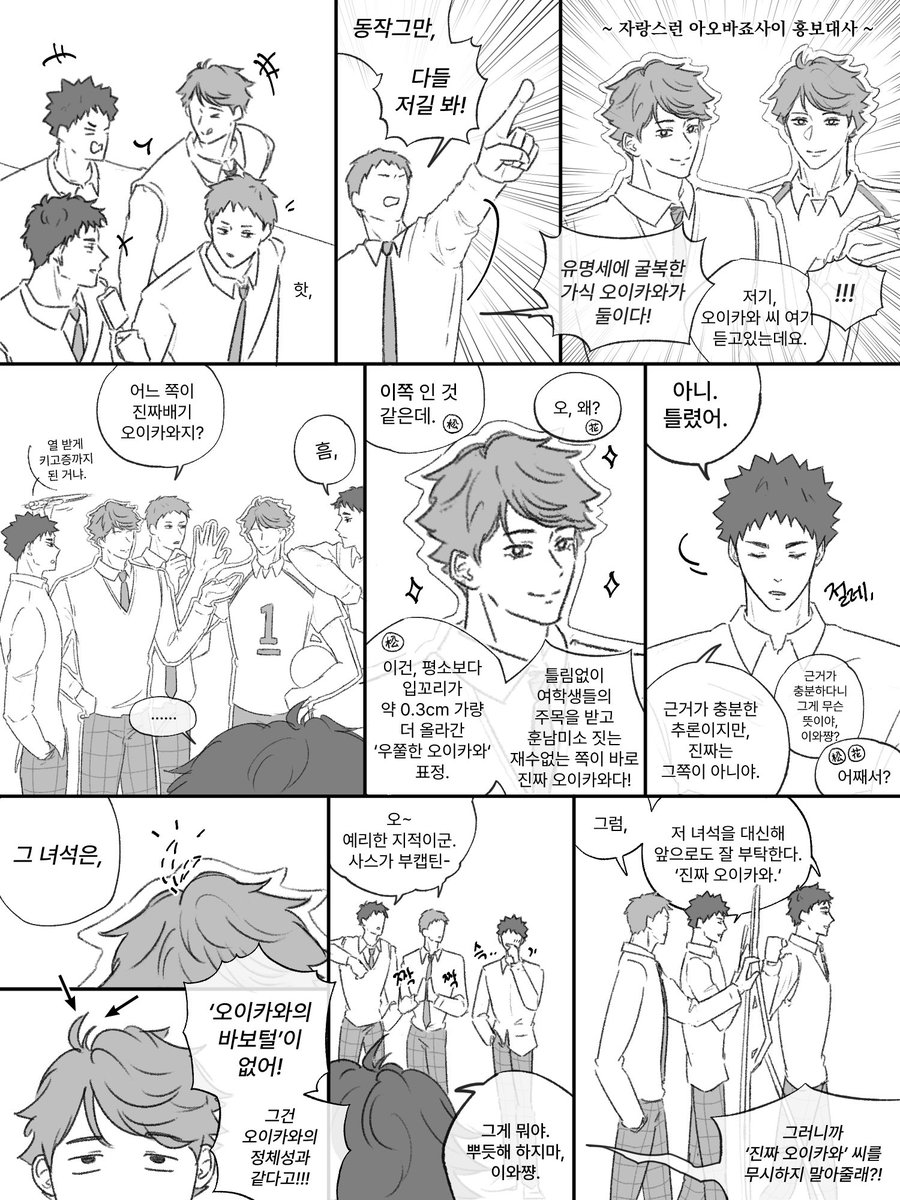 오이카와 토오루 바보털 사건