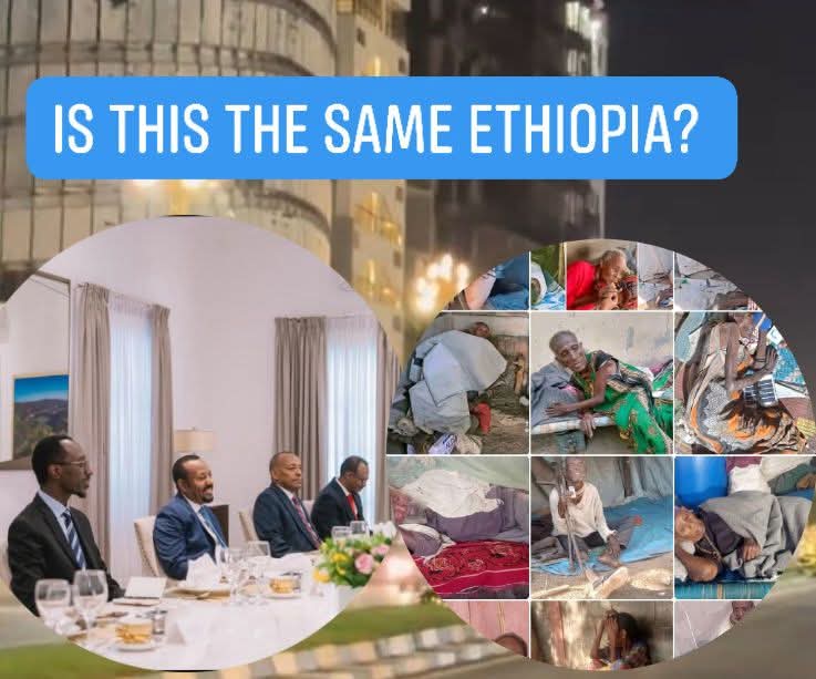 kibrom Eritrea tweet media