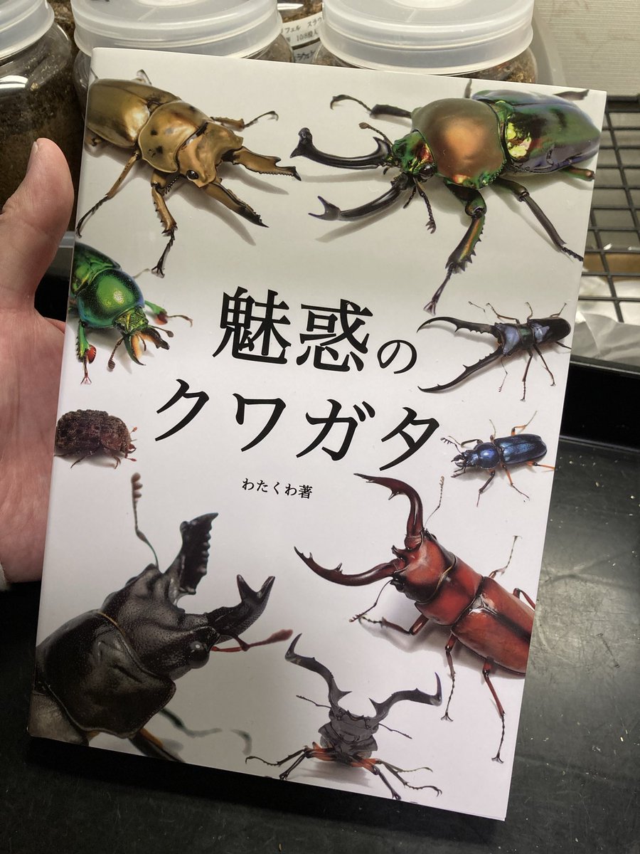 わたくわ (@watakuwa_1911) / Posts / X