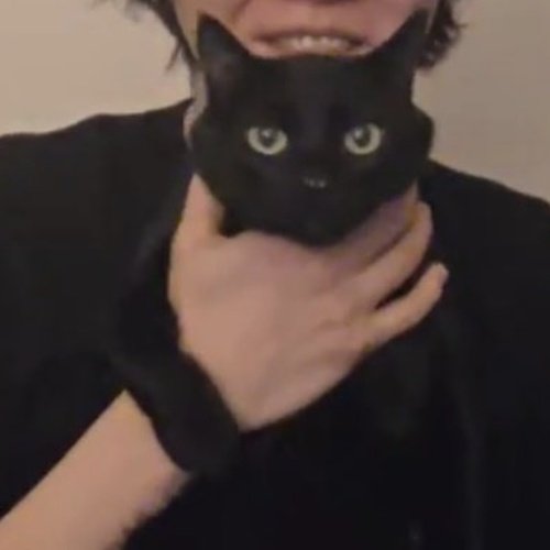 aegyoeobta's tweet image. tang's little arm around yoongi's hand though 😭😭😭😭 not sure if its yoongi showing us his cat tang here or tang showing us his cat yoongi here.