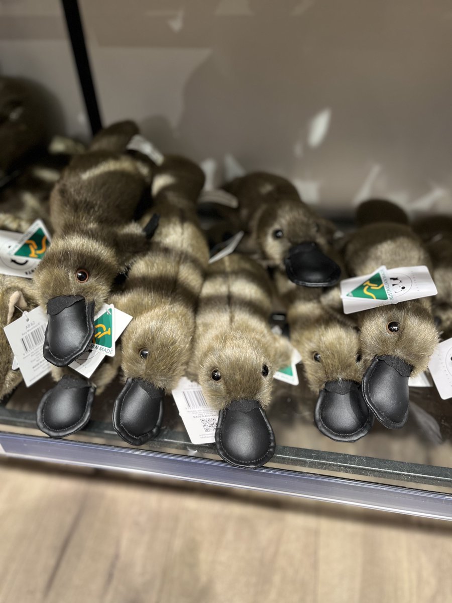 E3%82%A6%E3%82%A9%E3%83%B3%E3%83%90%E3%83%83%E3%83%88