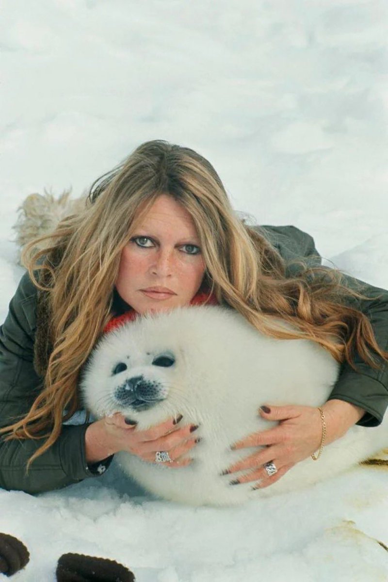 Repose en paix #BrigitteBardot 🕯️