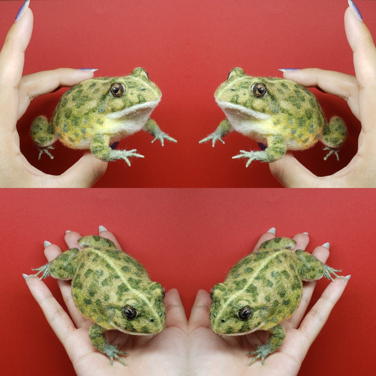 羊毛フェルト】 コガタアフリカウシガエル minneで販売中🛒 #カエル