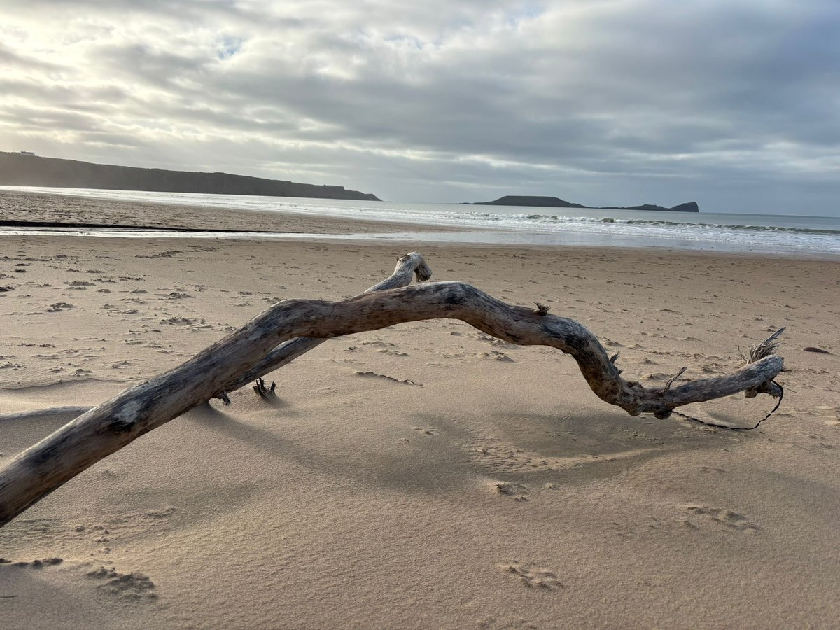 Janet Redler Travel tweet media