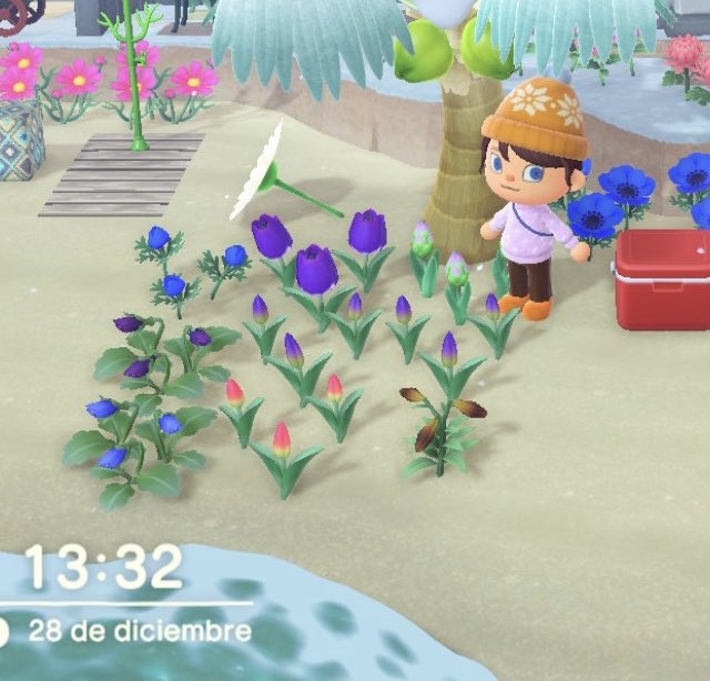 IMauiland's tweet photo. Hola! 
Tengo flores híbridas para regalar. Si alguien las quiere que me escriba y se las llevo #AnimalCrossing #floreshibridas https://t.co/3Em5GAnEuK