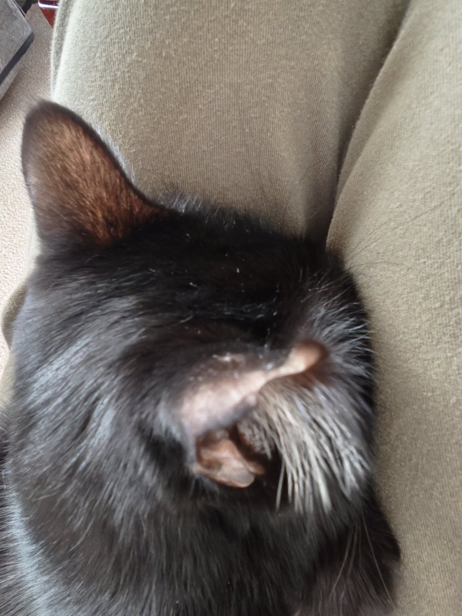 まりもちゃん！と🧌 (@marimo2021915) / Posts / X